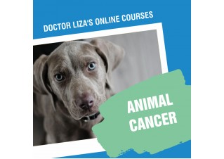 ANIMAL CANCER