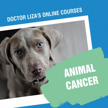 ANIMAL CANCER