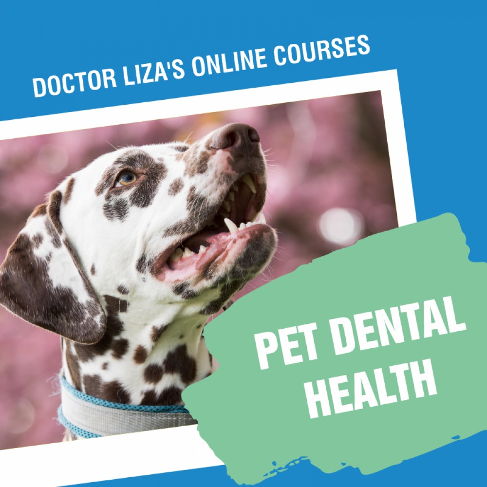 PET DENTAL HEALTH