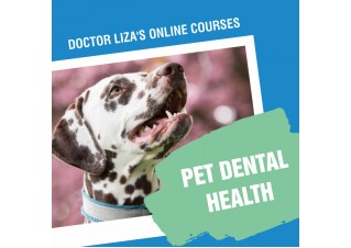 PET DENTAL HEALTH