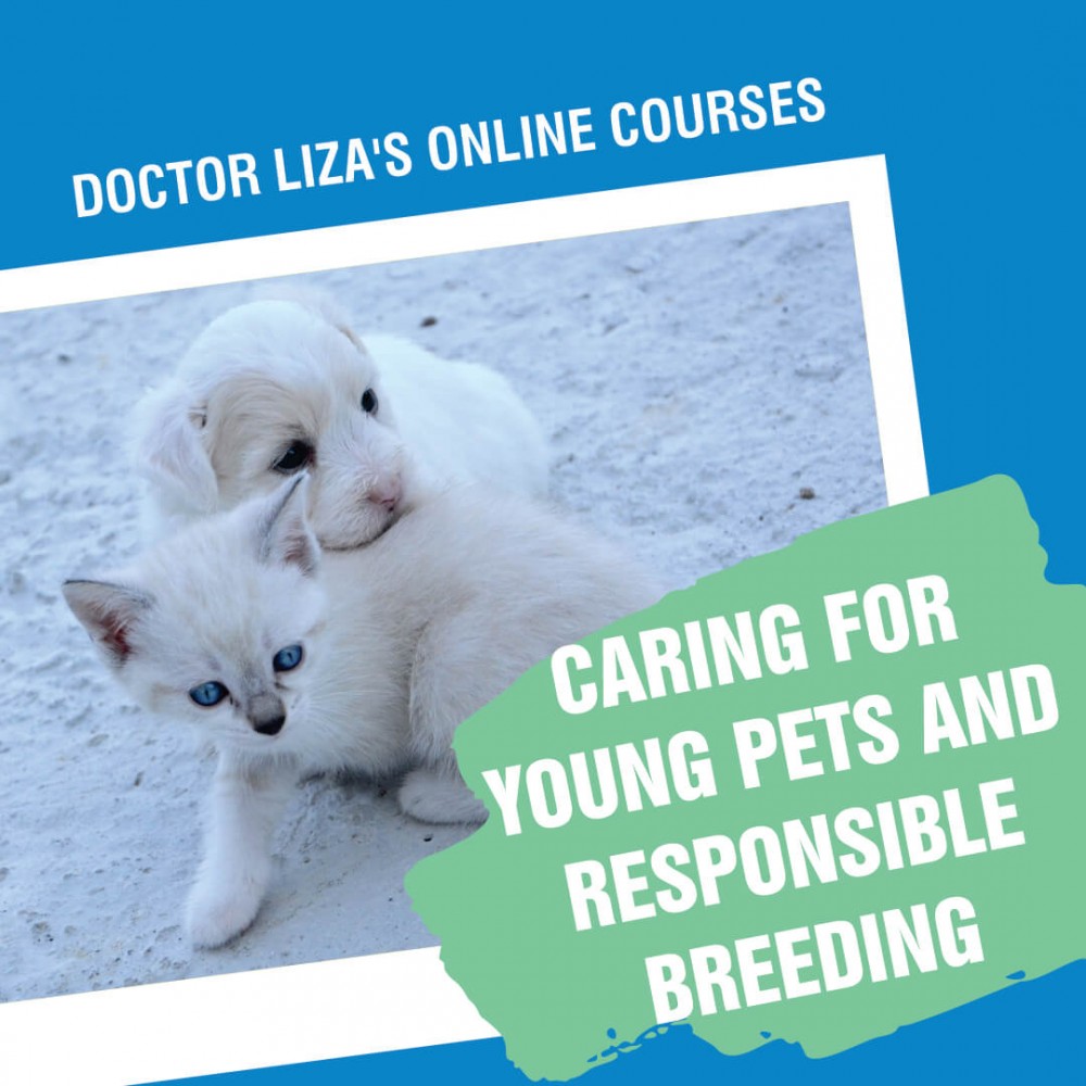 CARING FOR YOUNG PETS AND RESPONSIBLE BREEDING