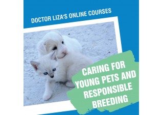 CARING FOR YOUNG PETS AND RESPONSIBLE BREEDING